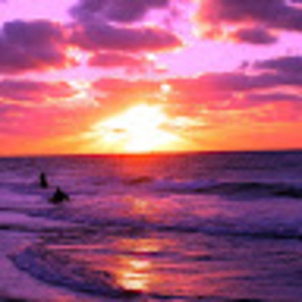 Meet your Posher, Janvi